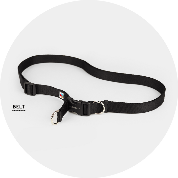 Ashbury Hands-Free Leash System/Color-Black