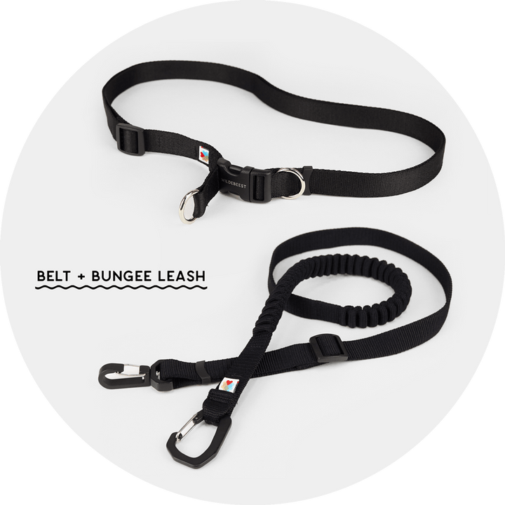 Ashbury Hands-Free Leash System/Color-Black