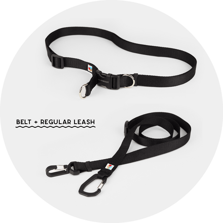 Ashbury Hands-Free Leash System/Color-Black