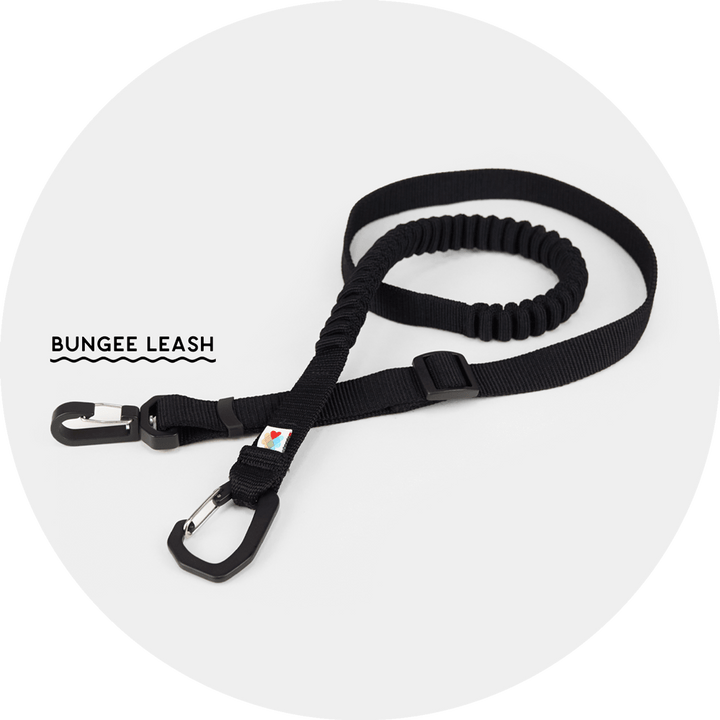 Ashbury Hands-Free Leash System/Color-Black