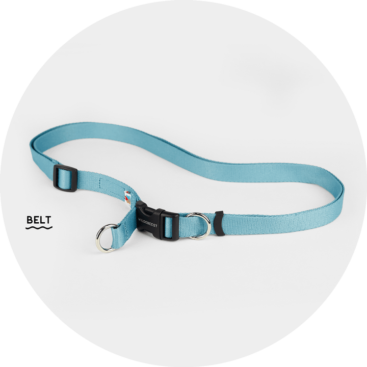 Ashbury Hands-Free Leash System/Color-Sky Blue