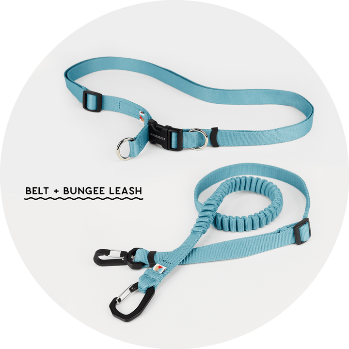 Ashbury Hands-Free Leash System/Color-Sky Blue