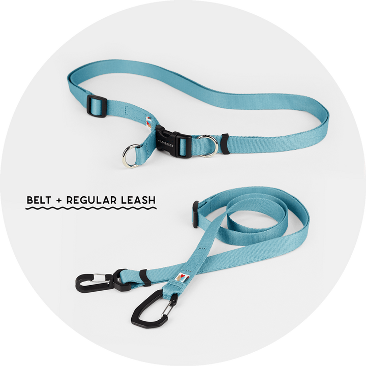 Ashbury Hands-Free Leash System/Color-Sky Blue