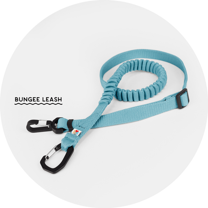 Ashbury Hands-Free Leash System/Color-Sky Blue