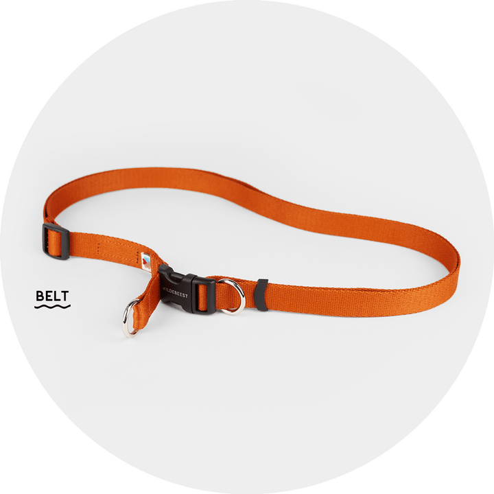 Ashbury Hands-Free Leash System/Color-Burnt Orange