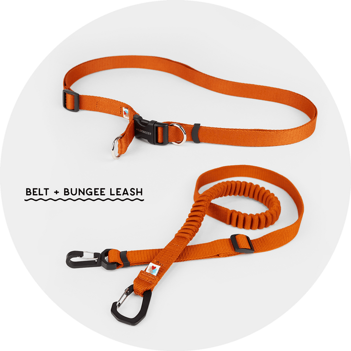 Ashbury Hands-Free Leash System/Color-Burnt Orange