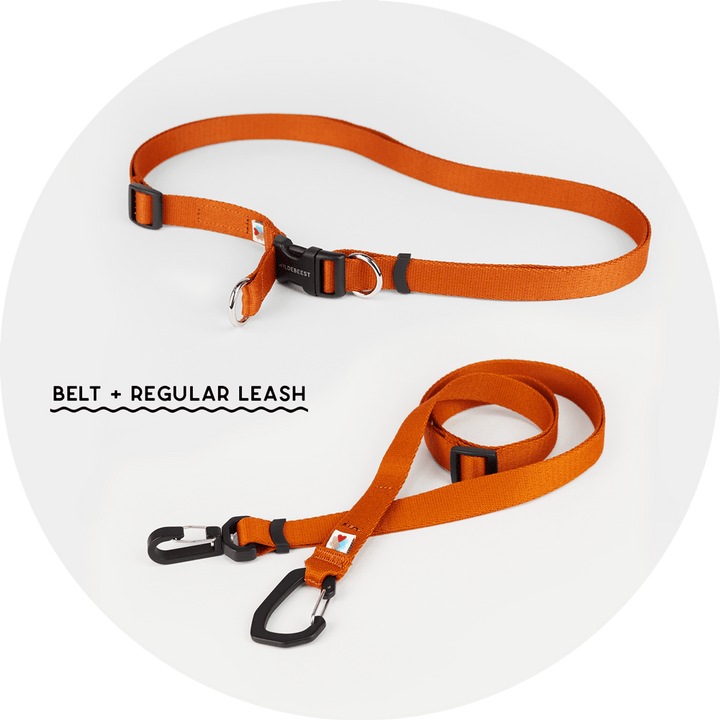 Ashbury Hands-Free Leash System/Color-Burnt Orange