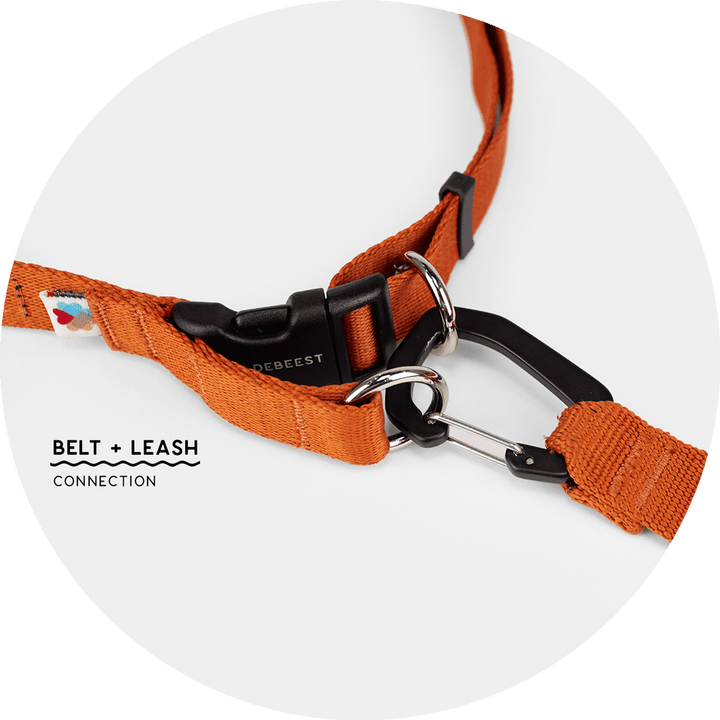 Ashbury Hands-Free Leash System/Color-Burnt Orange