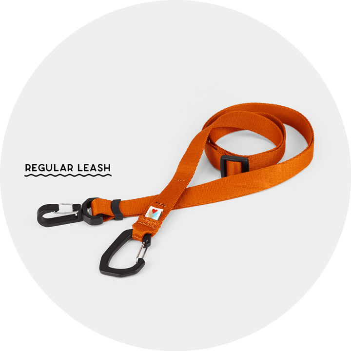 Ashbury Hands-Free Leash System/Color-Burnt Orange