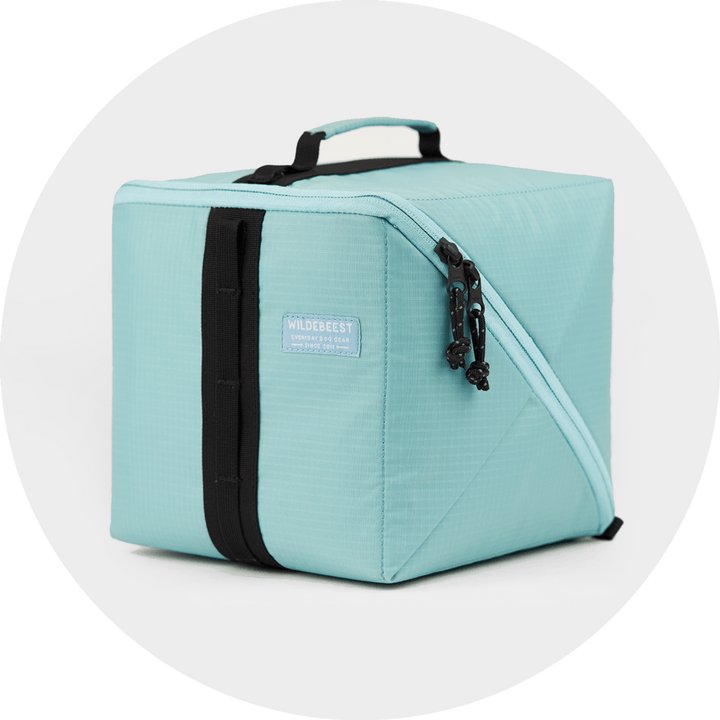 Bernal Go Bag/Color-Sky Blue