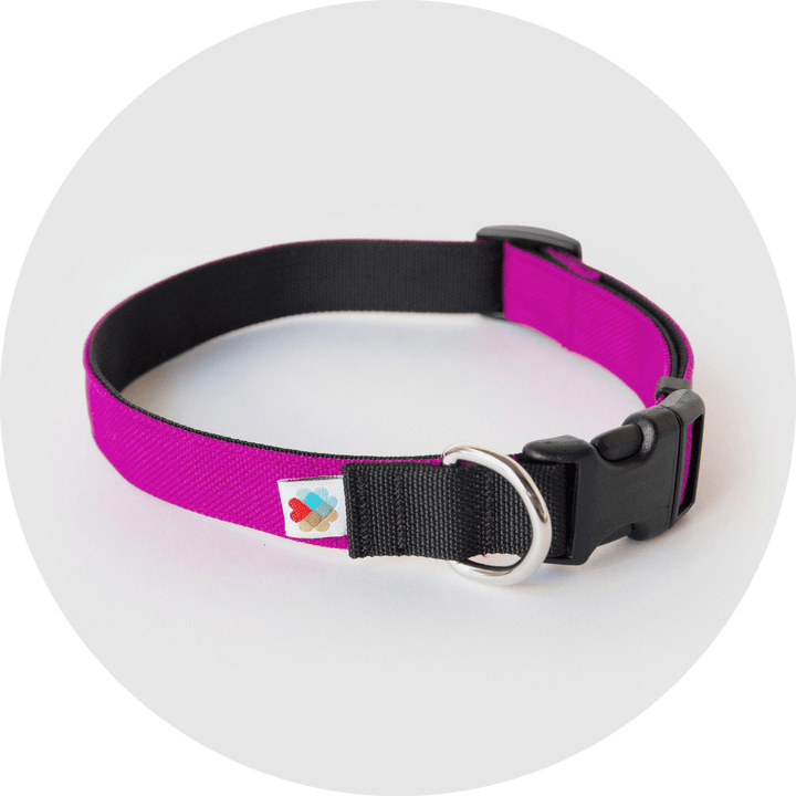 Funston Dog Collar/Color-Fuchsia