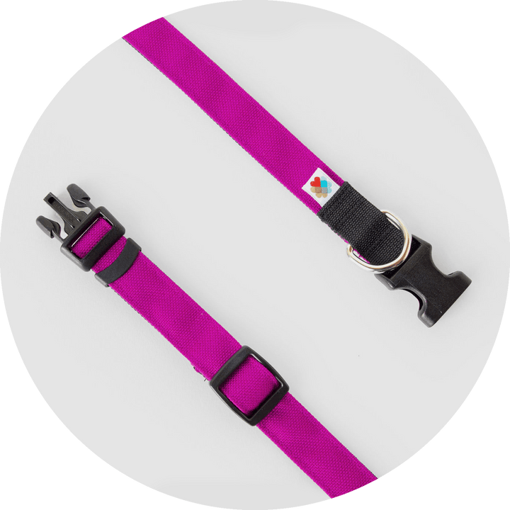 Funston Dog Collar/Color-Fuchsia