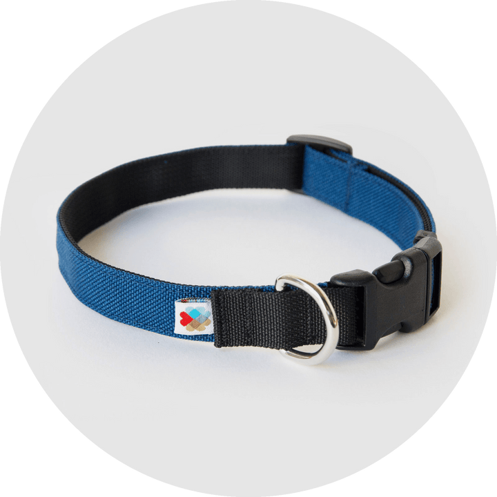 Funston Dog Collar/Color-Navy