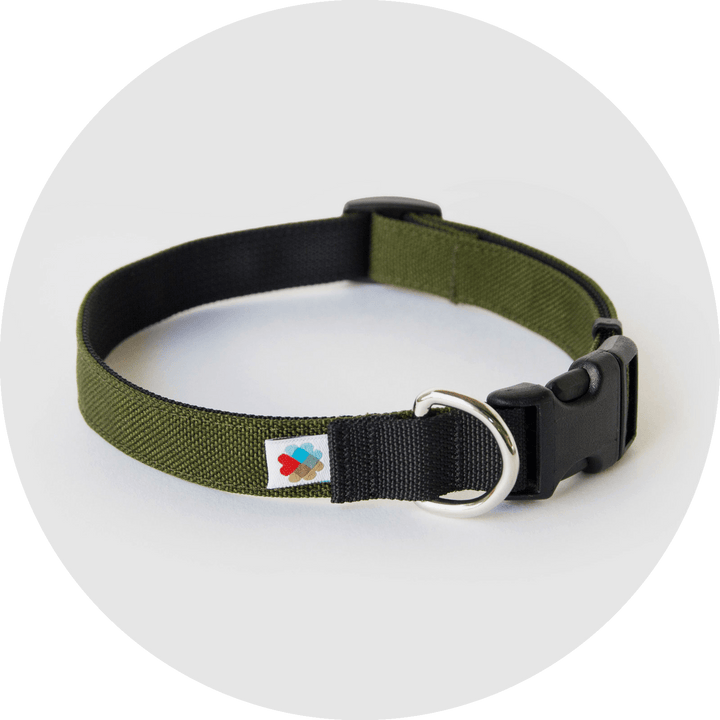 Funston Dog Starter Kit/Color-Olive