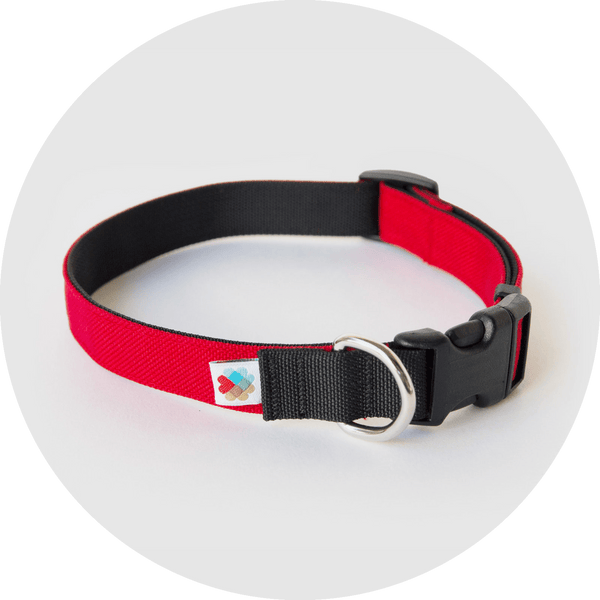 Funston Dog Collar/Color-Red