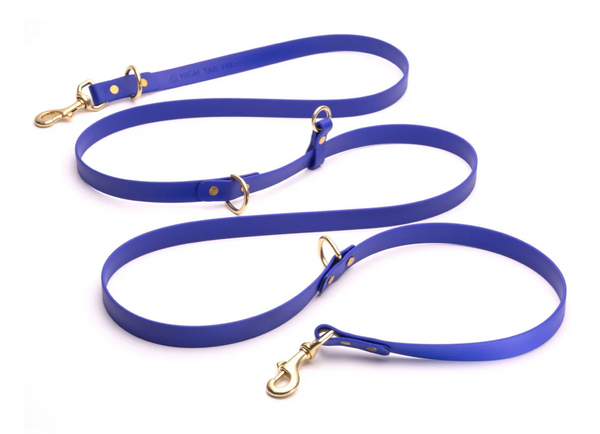 Hands Free + Convertible Brass Leash - Large Dogs (3/4" Width)