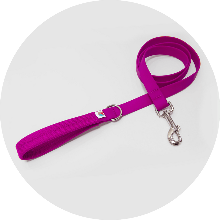 Funston Dog Starter Kit/Color-Fuchsia