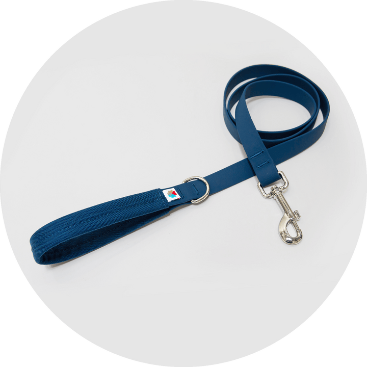 Funston Dog Starter Kit/Color-Navy