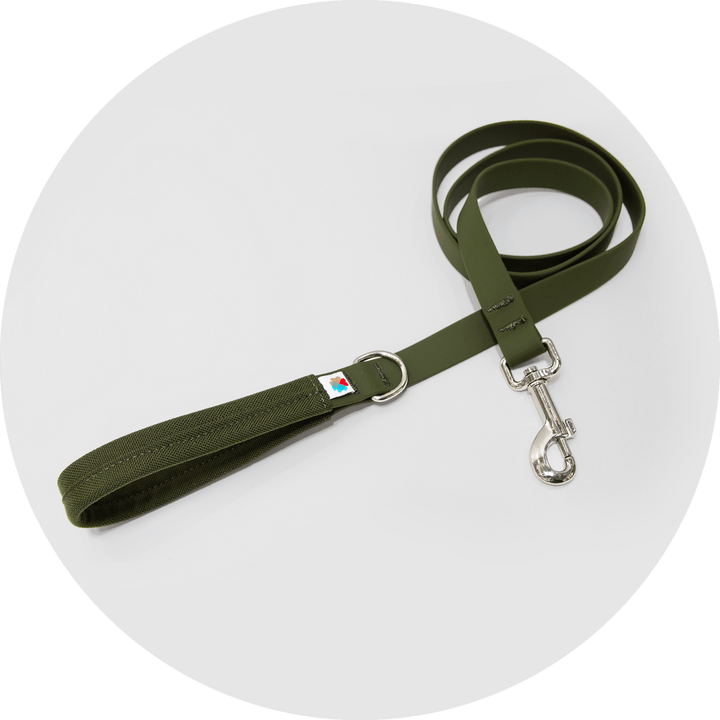 Funston Dog Starter Kit/Color-Olive