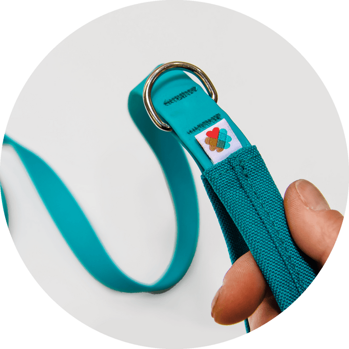 Funston Dog Leash/Color-Turquoise