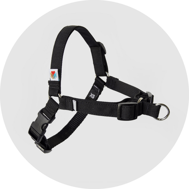 Linden No Pull Dog Harness/Color-Black