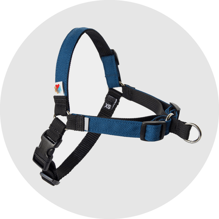 Linden No Pull Dog Harness/Color-Navy