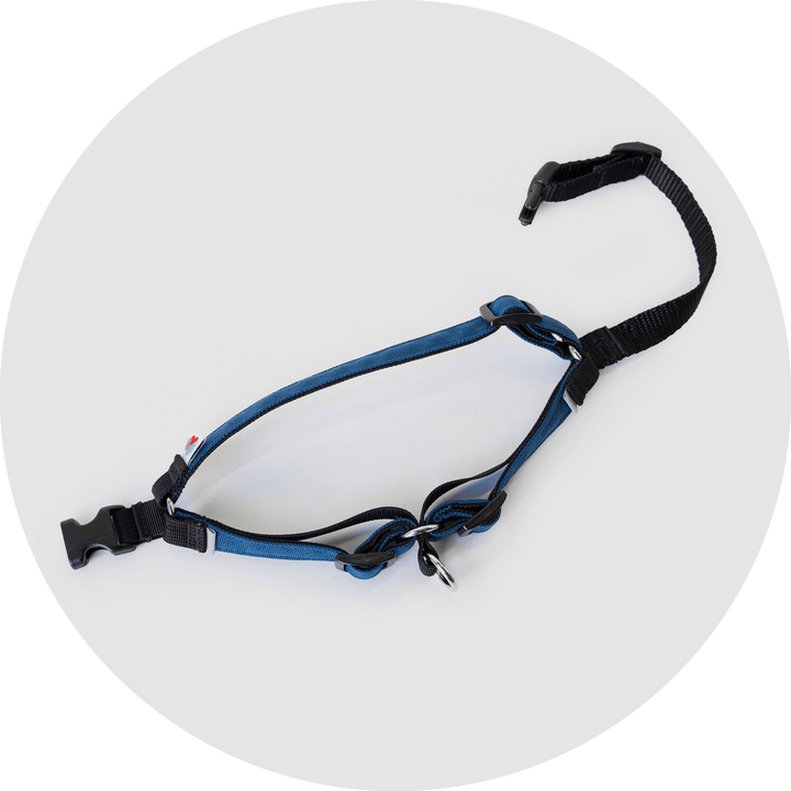 Linden No Pull Dog Harness/Color-Navy