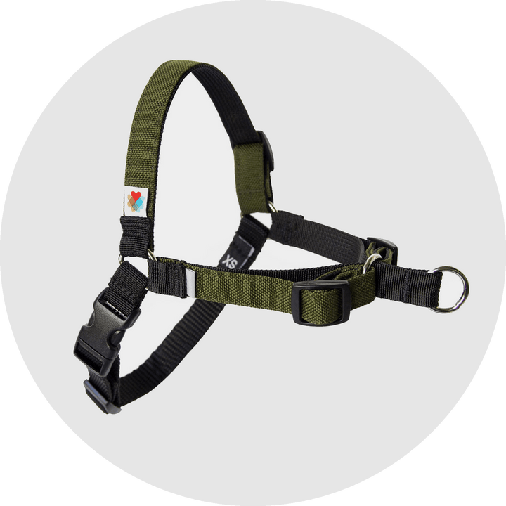 Linden No Pull Dog Harness/Color-Olive