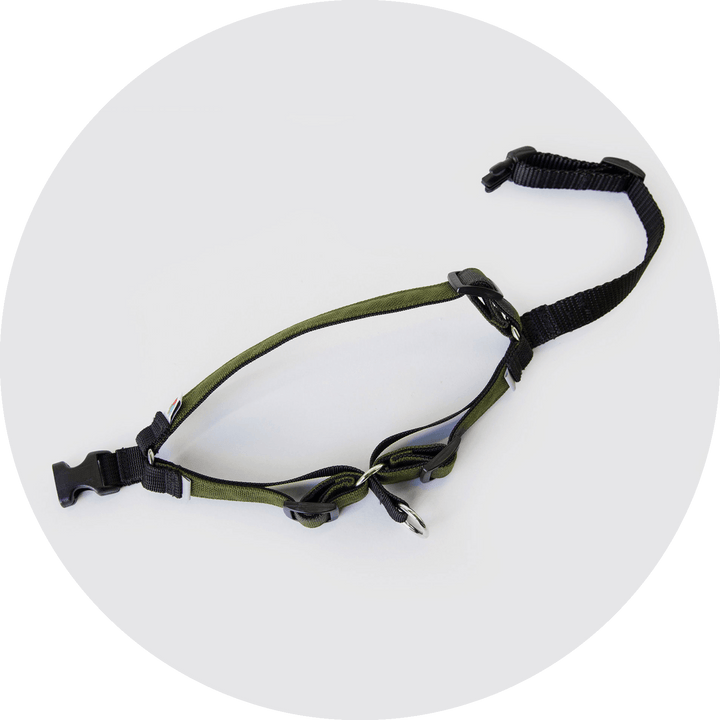 Linden No Pull Dog Harness/Color-Olive