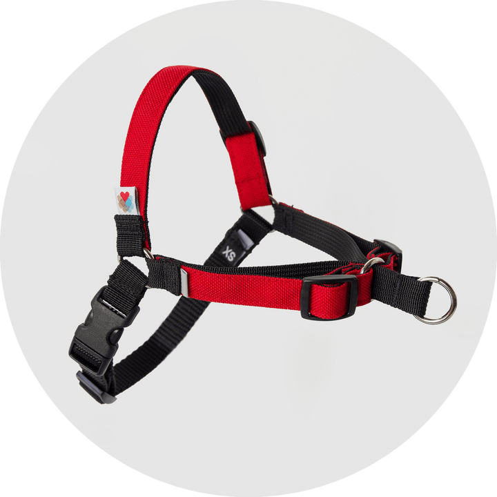 Linden No Pull Dog Harness/Color-Red