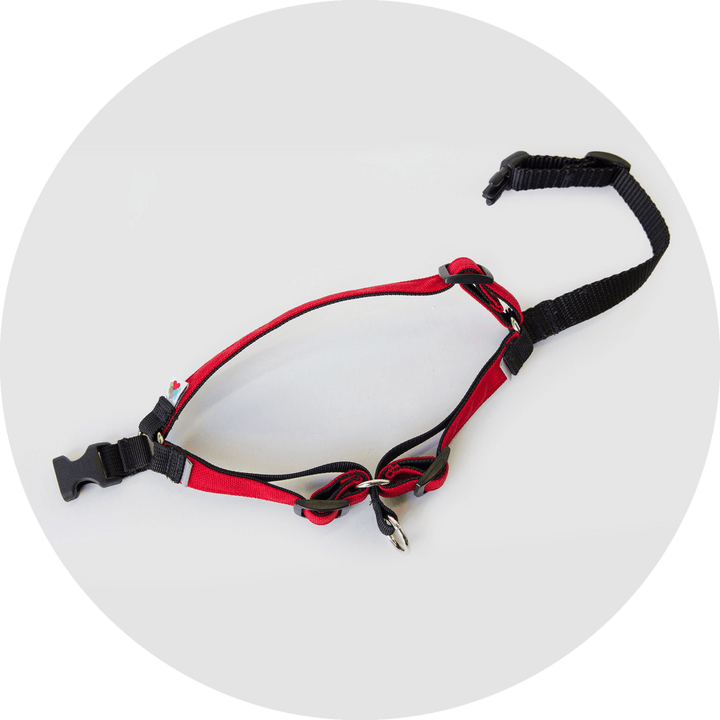 Linden No Pull Dog Harness/Color-Red