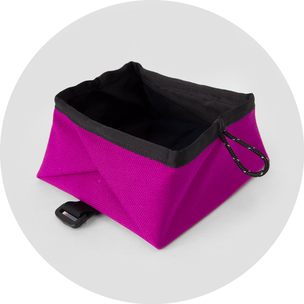 Montara Pop-Up Dog Bowl/Color-Fuchsia