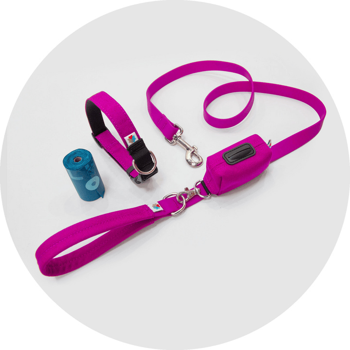 Funston Dog Starter Kit/Color-Fuchsia