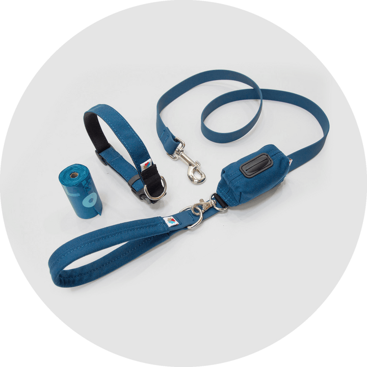 Funston Dog Starter Kit/Color-Navy