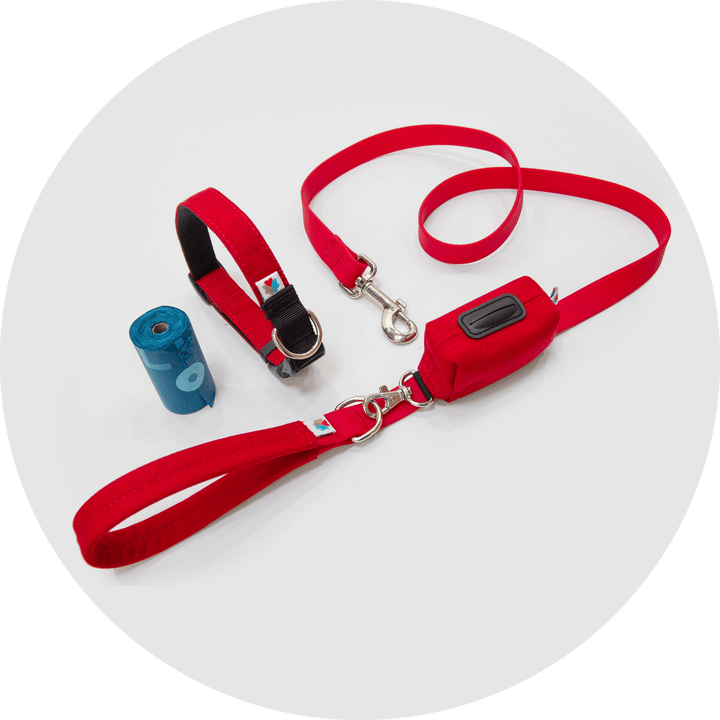 Funston Dog Starter Kit/Color-Red