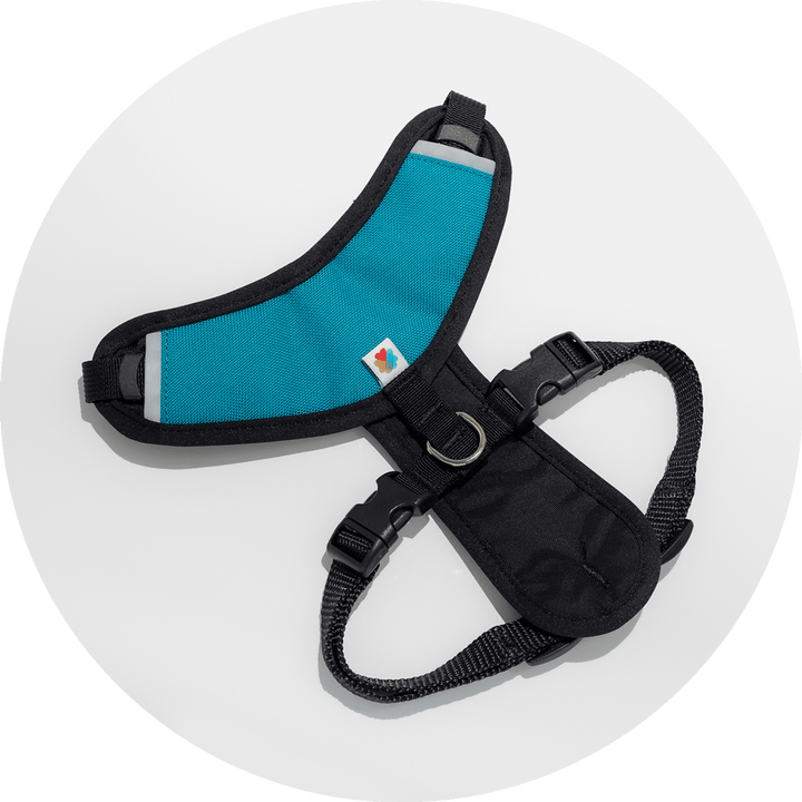 Sutro Snug Fit Dog Harness/Color-Turquoise