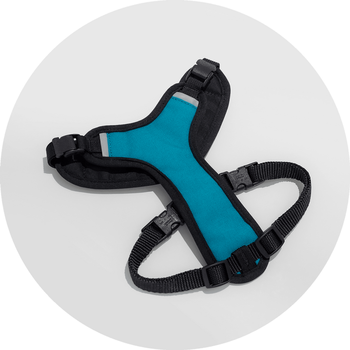 Sutro Snug Fit Dog Harness/Color-Turquoise