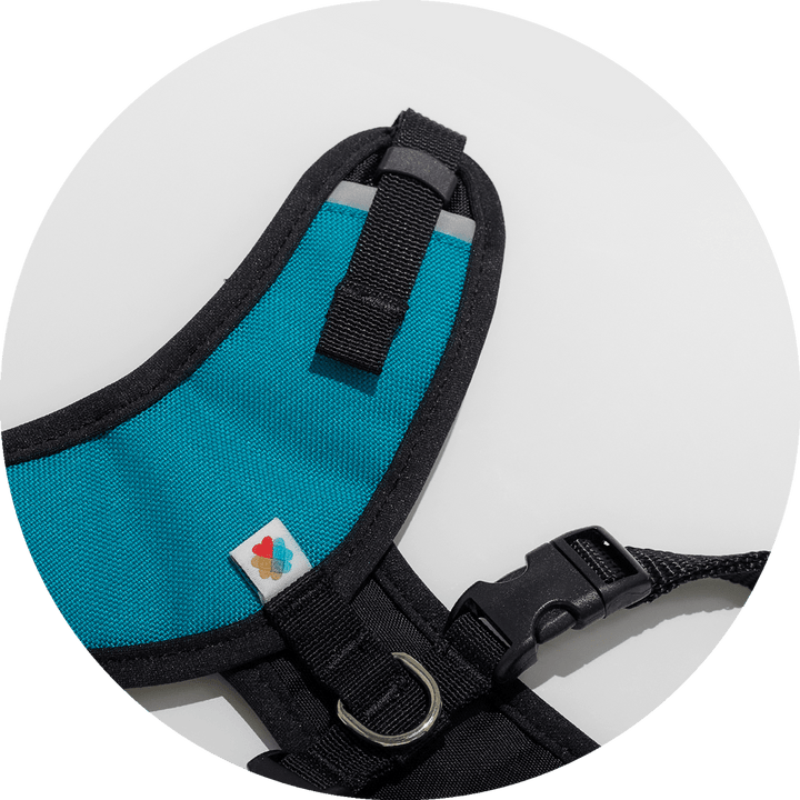 Sutro Snug Fit Dog Harness/Color-Turquoise